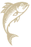 Poisson